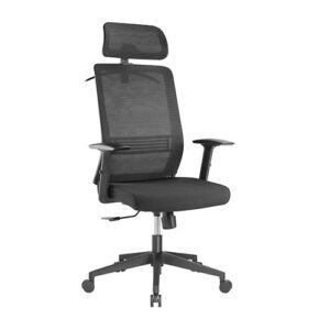 Buy Brateck-CH05-14-Brateck Ergonomic Mesh Office Chair with Headrest (76x71.5x112.5-119.5cm) Up to 150kg - Mesh Fabric-Black (LS)